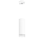 Светильник настенно-потолочный Lightstar Rullo RP48630 50Вт GU10
