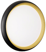 Светильник настенно-потолочный Sonex TOFIQ BLACK 7651/DL 48Вт LED
