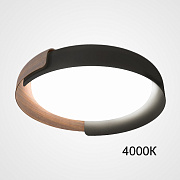 Светильник потолочный ImperiumLOFT Adda 223831-23 48Вт LED