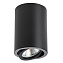 Светильник потолочный Lightstar RULLO 214407 50Вт GU10