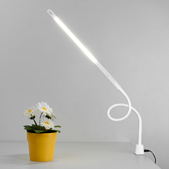 Настольная лампа Eurosvet Flex 80429/1 белый 7Вт LED