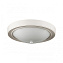 Светильник настенно-потолочный Lumion NINA 5279/2C 120Вт E27