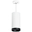 Светильник настенно-потолочный Lightstar Rullo RP64863487 50Вт GU10