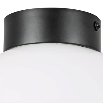 Светильник настенно-потолочный Lightstar Globo 812117 40Вт E14