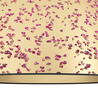 Светильник потолочный EGLO CASTUERA 390291 25Вт E27