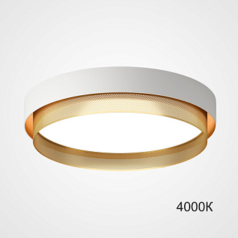 Светильник потолочный ImperiumLOFT Malia 223849-23 36Вт LED