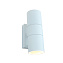 Светильник фасадный Arte Lamp MISTERO A3302AL-2WH 35Вт IP44 GU10 белый