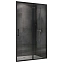 Душевая дверь Abber Schwarzer Diamant AG30100B 195х100см стекло прозрачное
