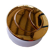 Кнопка слива CAPRIGO TB-GOLD