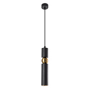 Светильник подвесной Arte Lamp RAN A3162SP-1BK 50Вт GU10