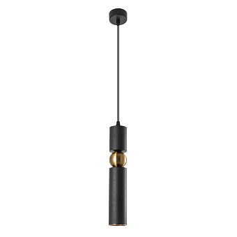 Светильник подвесной Arte Lamp RAN A3162SP-1BK 50Вт GU10