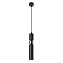 Светильник подвесной Arte Lamp RAN A3162SP-1BK 50Вт GU10