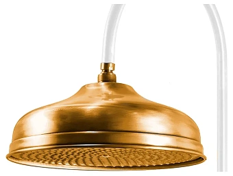 Верхний душ CAPRIGO PARTS 99-101-oro золото