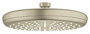 Верхний душ GROHE Tempesta 26410EN0 никель