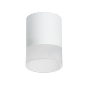 Светильник настенно-потолочный Lightstar Rullo R348681 15Вт GX 5.3