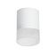 Светильник настенно-потолочный Lightstar Rullo R348681 15Вт GX 5.3