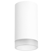 Светильник настенно-потолочный Lightstar Rullo R43630 50Вт GU10