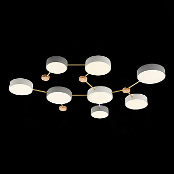 Светильник потолочный Evoluce DOSSENA SLE600102-08 132Вт LED