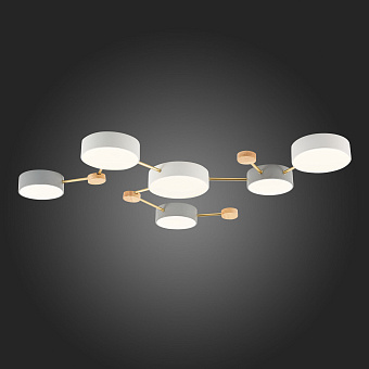 Светильник потолочный Evoluce DOSSENA SLE600102-06 90Вт LED