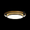 Светильник потолочный Loft It Mike 10169 32Вт LED