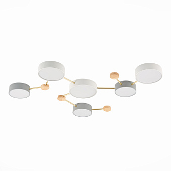 Светильник потолочный Evoluce DOSSENA SLE600102-06 90Вт LED