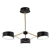 Светильник потолочный Evoluce VALLE SLE6005-402-03 30Вт LED