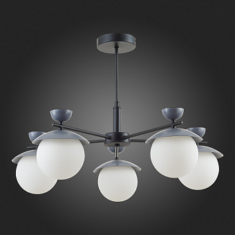 Светильник потолочный Evoluce GENOVA SLE220202-05 25Вт G9