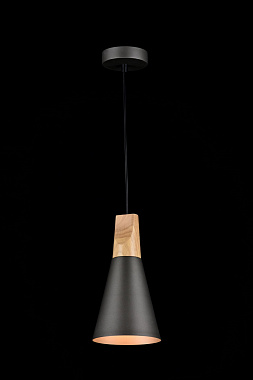 Светильник подвесной Maytoni Bicones P359-PL-140-C 60Вт E27
