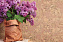 Настенная пробка CORKSTYLE WALL DESIGN Vico Red VICO RED 600х300х3мм 1,98кв.м