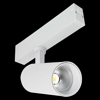 Трековый светильник ST Luce SKYLINE 220 ST660.596.10 10Вт LED белый для однофазного трека