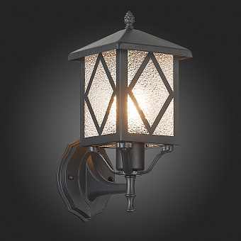 Светильник фасадный ST Luce LORNE SL084.401.01 60Вт IP44 E27 чёрный