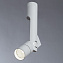 Спот Arte Lamp Orion A2514PL-1WH 12Вт 1 лампа LED