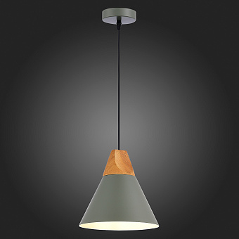 Светильник подвесной Evoluce MODICA SLE125113-01 40Вт E14