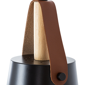 Светильник подвесной Arte Lamp THOMAS A7032SP-1BK 60Вт E27