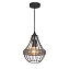 Светильник подвесной Favourite Terra 1800-1P 60Вт E27
