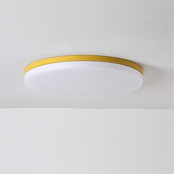 Светильник потолочный ImperiumLOFT Disc 193127-26 24Вт LED
