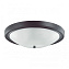 Светильник настенно-потолочный Lumion NINA 5260/4C 240Вт E27