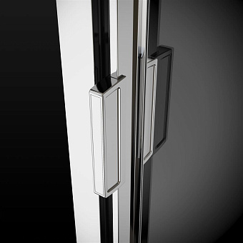 Душевая дверь RADAWAY Evo DW 120 200х120см стекло прозрачное