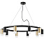 Люстра подвесная Lightstar Rullo LR0204053751 500Вт 10 лампочек GU10