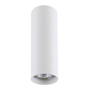 Светильник потолочный Lightstar Rullo 214496 50Вт GU10