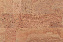 Пробковый пол CORKSTYLE NATURAL CORK-GLUE 915х305х6мм Fantasie Fantasie_GLUE 3,36кв.м