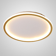 Светильник потолочный ImperiumLOFT Tala 208007-23 58Вт LED