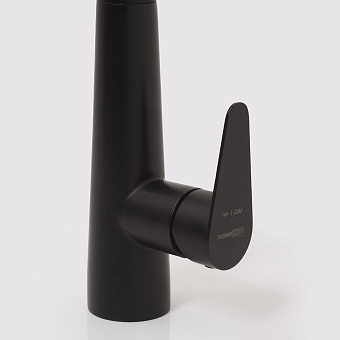 Смеситель для кухни WASSERKRAFT A8667 выдвижной излив чёрный