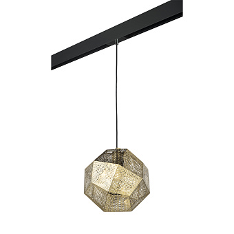 Трековый светильник Lightstar Fermo PRO724112 40Вт E27 золото для однофазного трека