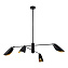Светильник подвесной Evoluce ALTON SLE1254-403-04 240Вт E14