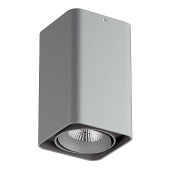Светильник точечный накладной Lightstar Monocco 052139-IP65 10Вт LED