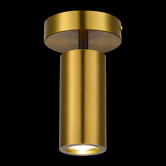 Светильник потолочный ST Luce TALIA SL1215.402.01 5Вт GU10