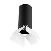 Светильник настенно-потолочный Lightstar Rullo R487436 50Вт GU10