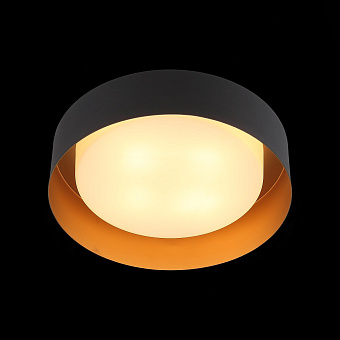 Светильник потолочный ST Luce CHIO SL392.422.04 160Вт E14