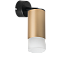 Светильник настенно-потолочный Lightstar Rullo RB44031 50Вт GU10
